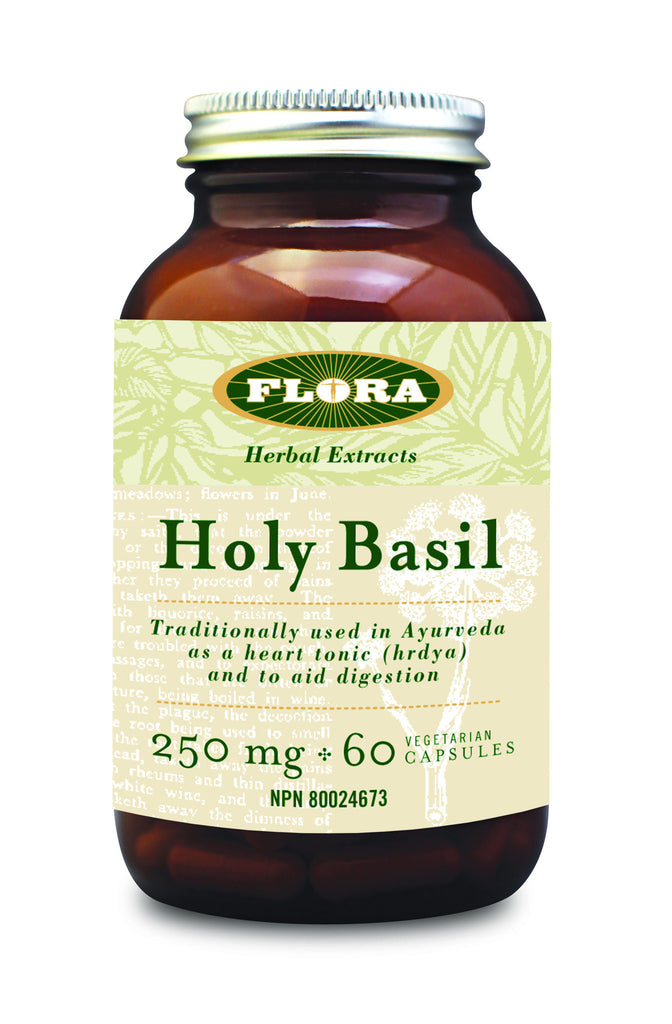 Holy Basil|Basilic sacré