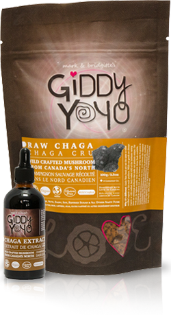 Giddy Yoyo Raw Chaga|Giddy YoYo Chaga Crue