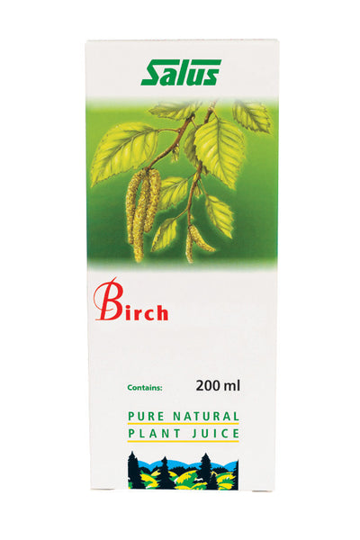 Birch Juice|Jus de Bouleau